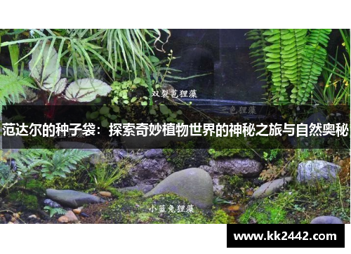 范达尔的种子袋：探索奇妙植物世界的神秘之旅与自然奥秘